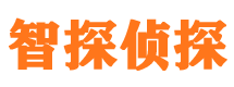 治多侦探公司